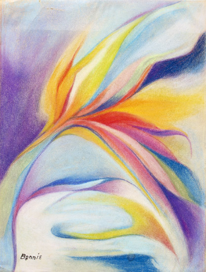 Bird of Paradise