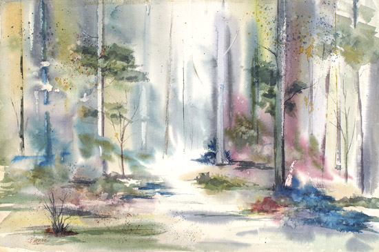 Light in the Forest