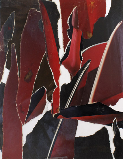 Red & Black Collage