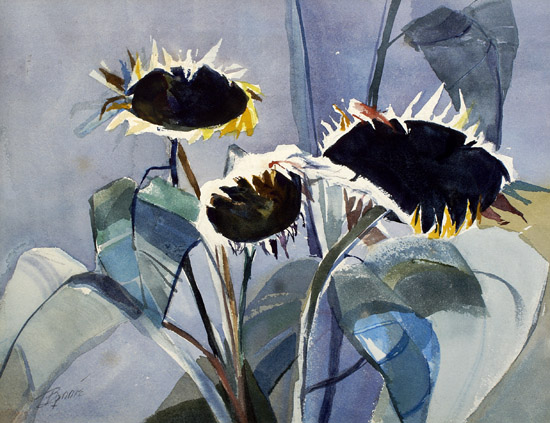 Sunflowers