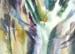 Branches