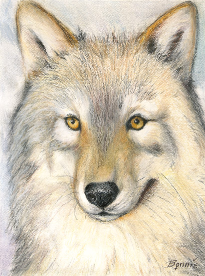 Alpha Wolf