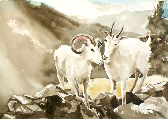Aries & Capricorn
