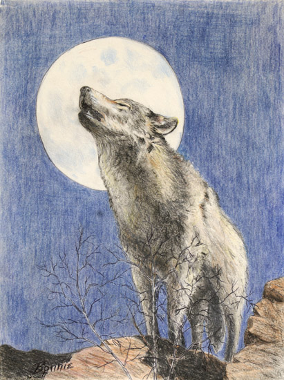 Bay at the Moon