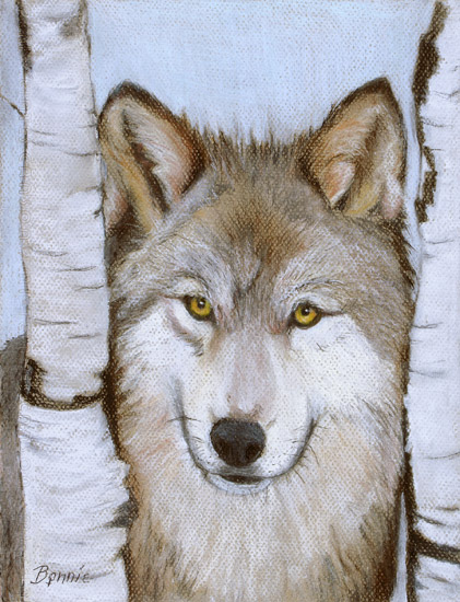 Between the Birches