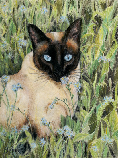 Blue Eyes