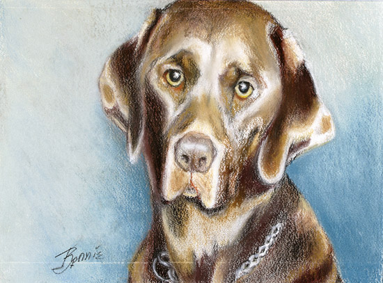 Chocolate Lab Pastel