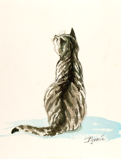 Curious Tabby