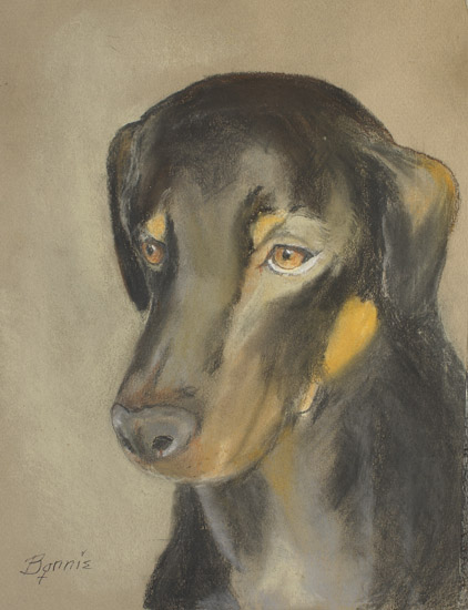 Doberman