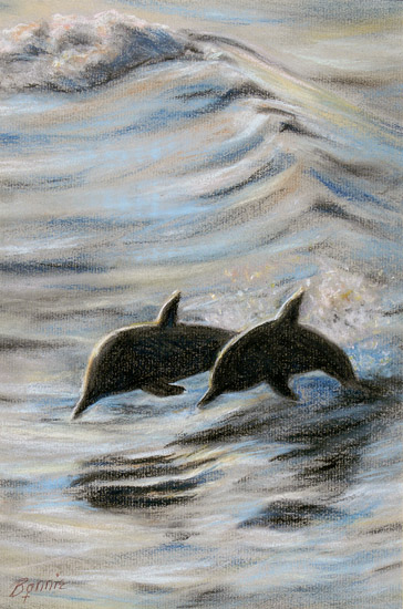 Dolphins