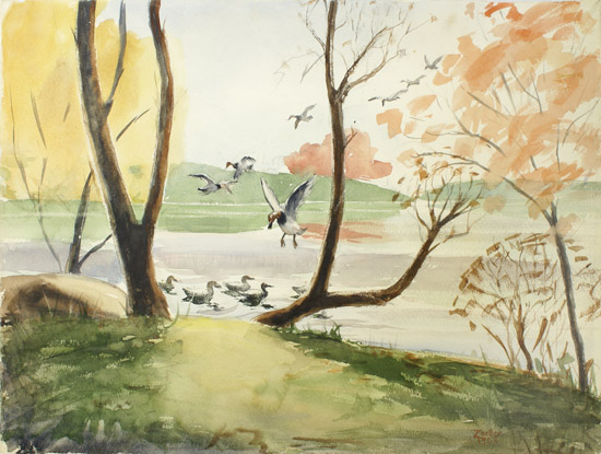 Ducks