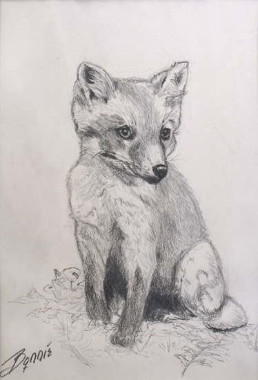 Fox Kit