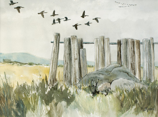 Geese