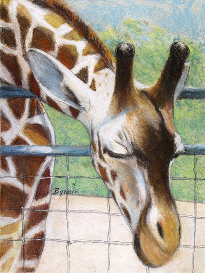 Giraffe