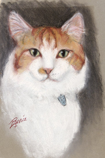 Green Eyed Cat