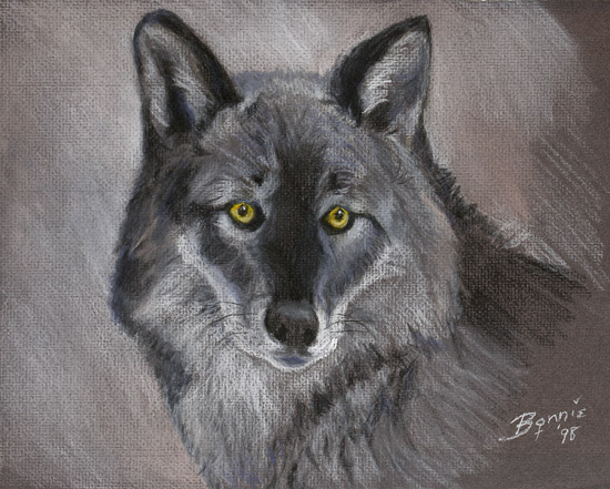 Grey Wolf