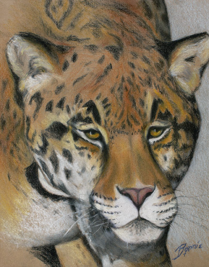 Leopard
