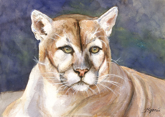 Lioness