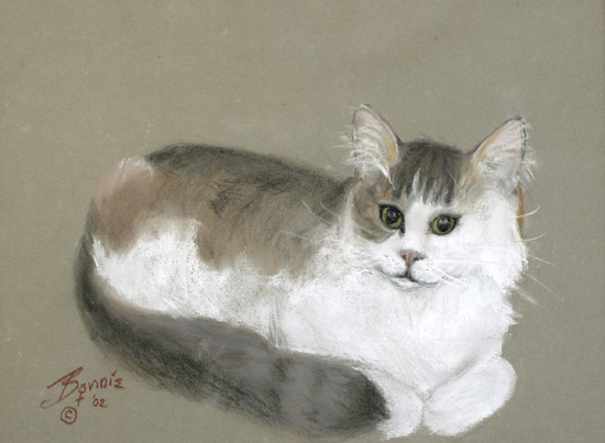 Miss Kitty