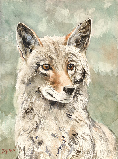Red Wolf
