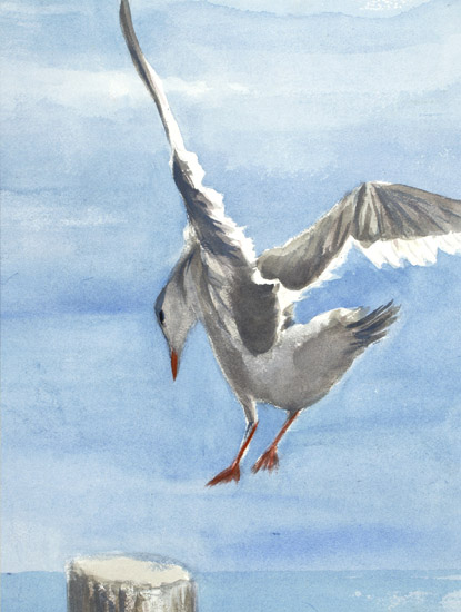 Seagull Landing