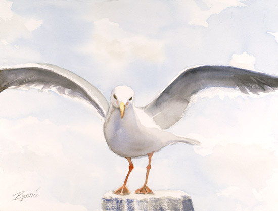 Seagull