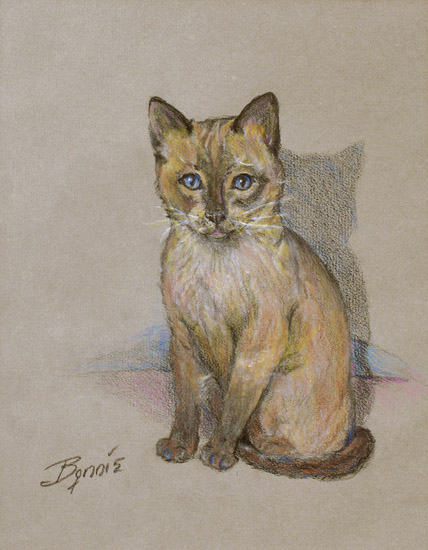 Young Blue Eyes