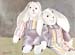 Bunnies