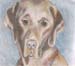 Choc Lab Pastel&Pencil