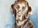 Chocolate Lab Pastel