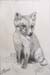 Fox Kit
