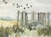 Geese