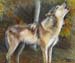 Howling Wolf