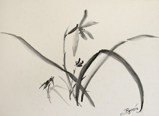 Asain Lilies