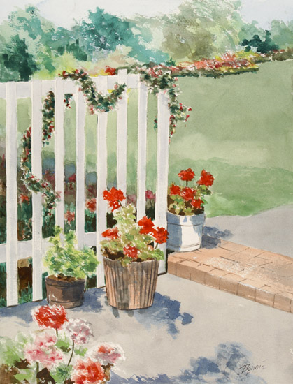 Backyard Geraniums