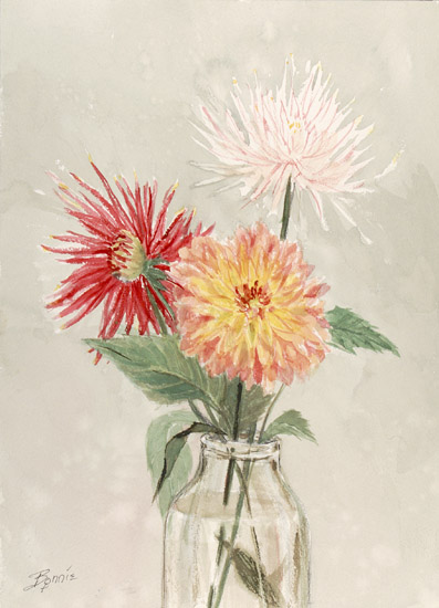 Chrysanthemums