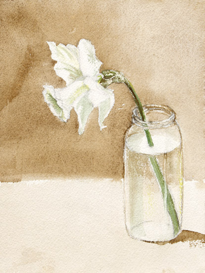 Daffodil in a Jar