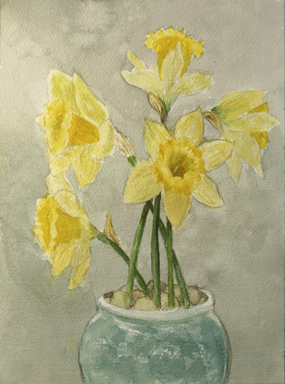 Daffodils