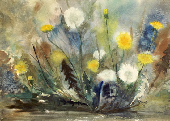 Dandelions
