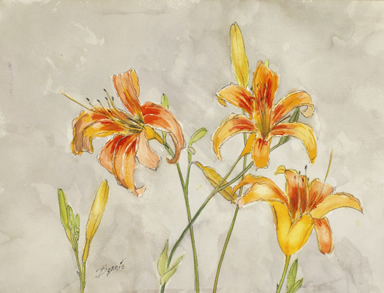 Day Lilies
