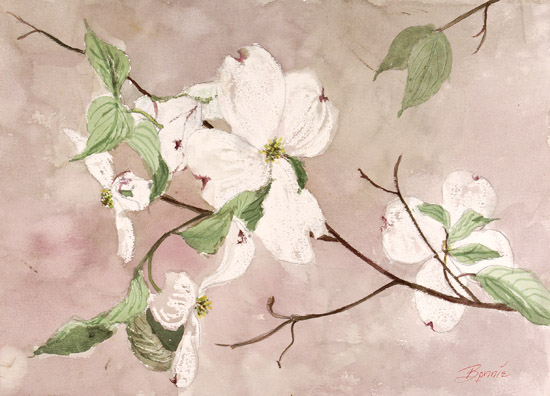 Dogwood Branches