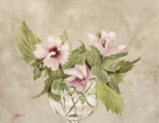 Hibiscus syriacus
