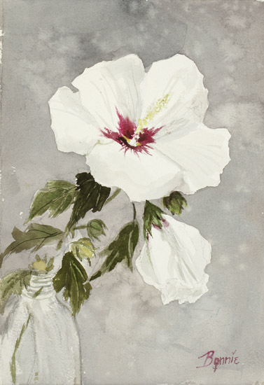 Hibiscus with Red Throat