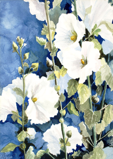 Hollyhocks