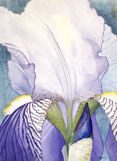 Iris Detail