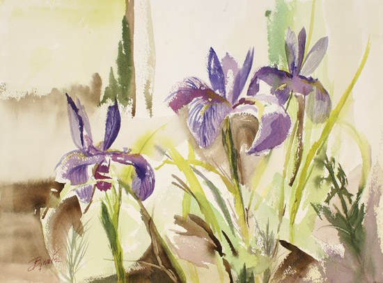 Lavender Irises