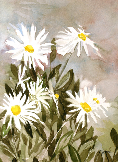 Montauk Daisies