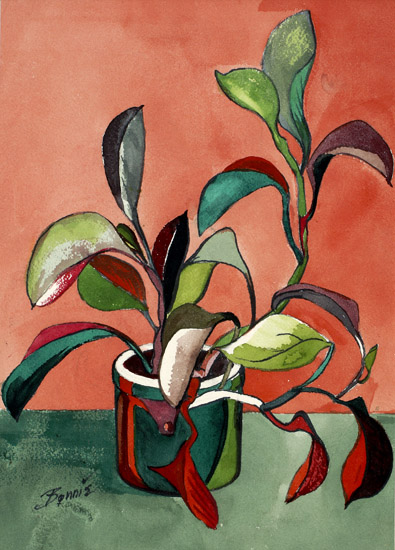 Philodendron