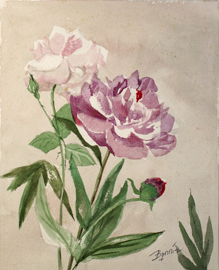 Pink & Purple Roses