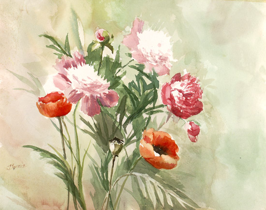 Poppies & Peonies